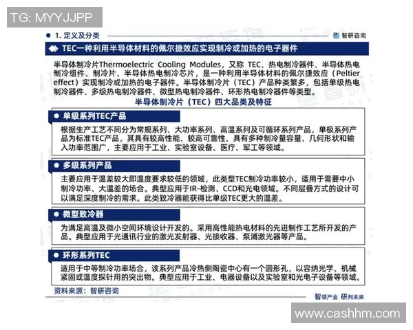 TEC与TYLCoco的全面对比分析探讨各自优势与市场前景